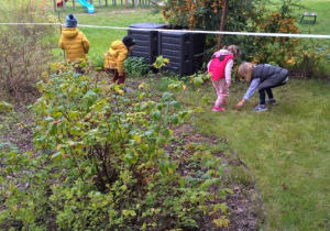 dzieci szukają kasztanów w ogrodzie dydaktycznym