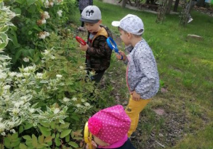 dzieci przez lupę oglądają rośliny w ogródku przedszkolnym