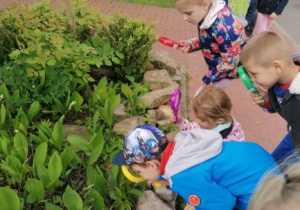 dzieci przez lupę oglądają rośliny w ogródku przedszkolnym