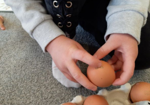 dziecko wskazuje cyfrę 0 na początku oznaczenia jajka