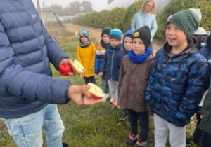 Dzieci oglądają połówki jabłek.