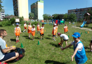 Zdjęcie 12 na 12