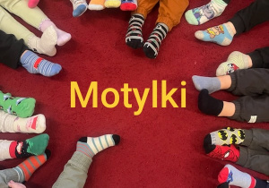 Zdjęcie 5 na 15