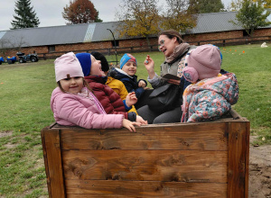 Żabki na wycieczce.