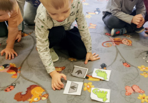 Chłopiec układa obrazki dinozaurów od najmniejszego do największego.